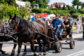 Zdjęcie 11