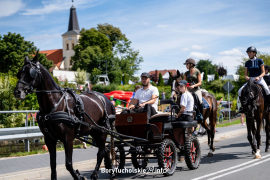 Zdjęcie 15