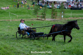 Zdjęcie 82