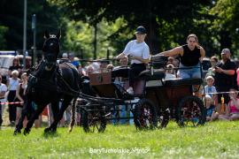 Zdjęcie 109