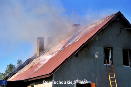 Zdjęcie 14