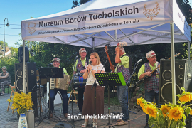 Zdjęcie 31