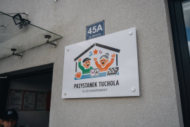 Zdjęcie 7