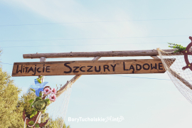 Zdjęcie 11