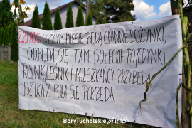 Zdjęcie 11