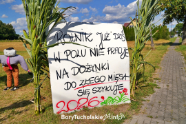Zdjęcie 19