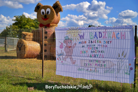 Zdjęcie 24