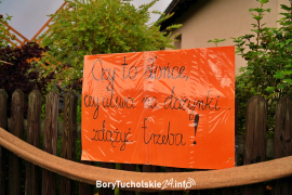 Zdjęcie 8