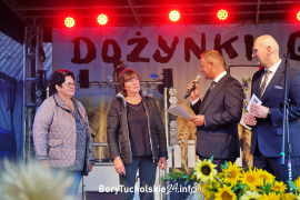 Zdjęcie 245