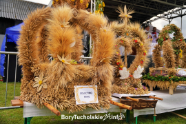Zdjęcie 14