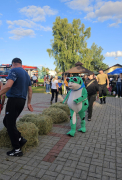 Zdjęcie 40
