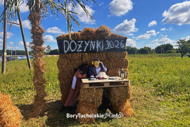 Zdjęcie 10