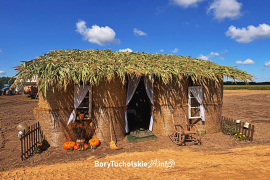 Zdjęcie 12