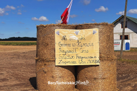 Zdjęcie 13