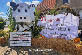 Zdjęcie 19