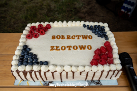 Zdjęcie 6