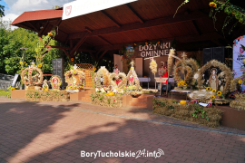 Zdjęcie 145
