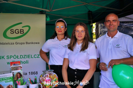 Zdjęcie 195