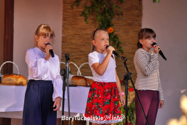 Zdjęcie 198