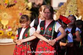 Zdjęcie 209