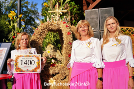 Zdjęcie 232
