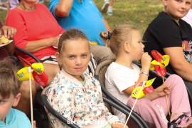 Zdjęcie 35