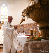 Zdjęcie 15