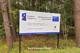 Zdjęcie 17
