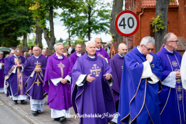 Zdjęcie 175
