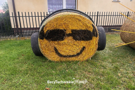 Zdjęcie 7