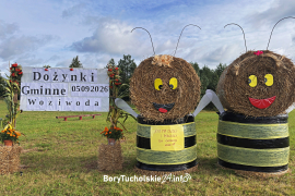 Zdjęcie 9