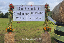 Zdjęcie 10