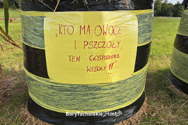 Zdjęcie 11