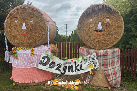 Zdjęcie 16