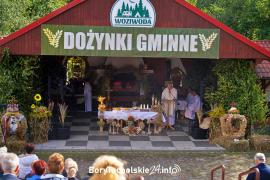 Zdjęcie 41