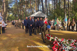 Zdjęcie 84