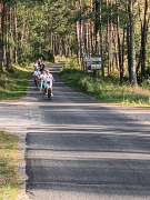 Zdjęcie 24
