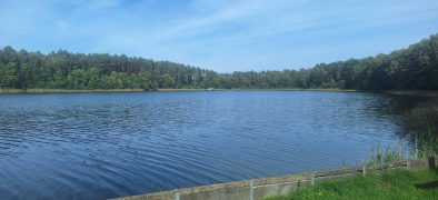 Zdjęcie 47