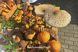 Zdjęcie 12