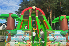 Zdjęcie 13