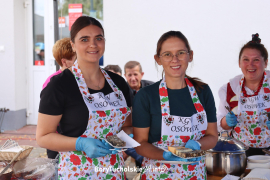 Zdjęcie 95