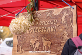 Zdjęcie 96