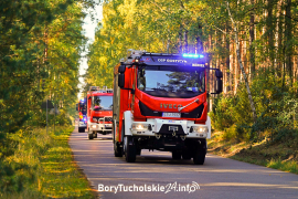 Zdjęcie 12