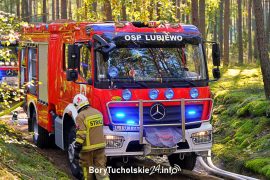 Zdjęcie 61