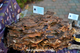 Zdjęcie 20