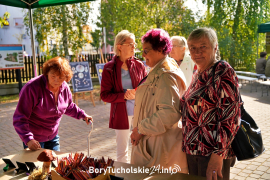 Zdjęcie 28