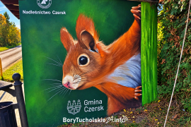 Zdjęcie 1