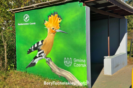 Zdjęcie 3
