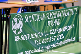 Zdjęcie 46