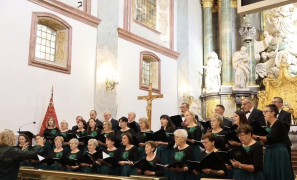 Zdjęcie 15